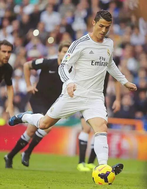 约克雷斯的 约克雷斯的