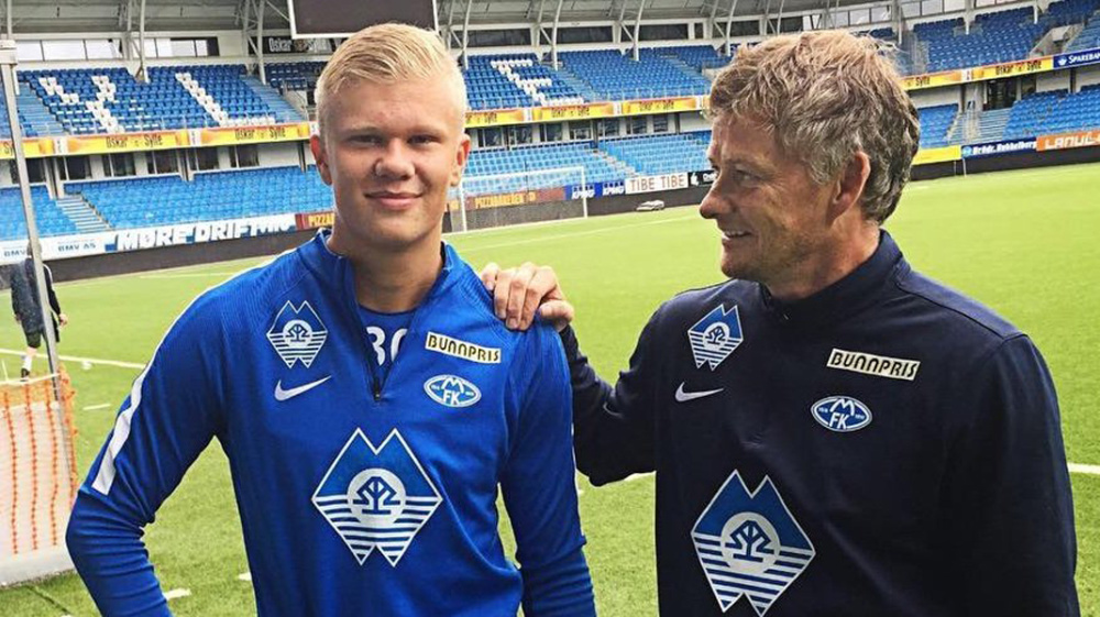 结果是否赢 结果是否赢